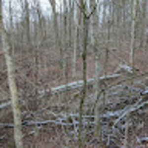 Meet your Posher, Grant